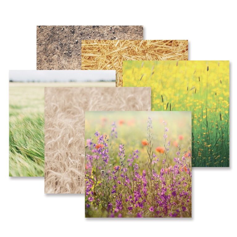 mellow-meadows-field-paper-pack-creative-memories-657710-01