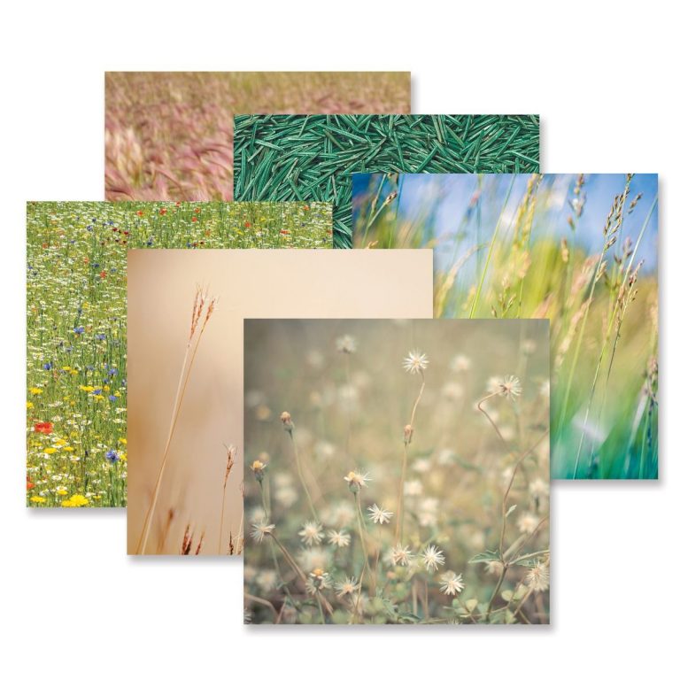 mellow-meadows-field-paper-pack-creative-memories-657710-02