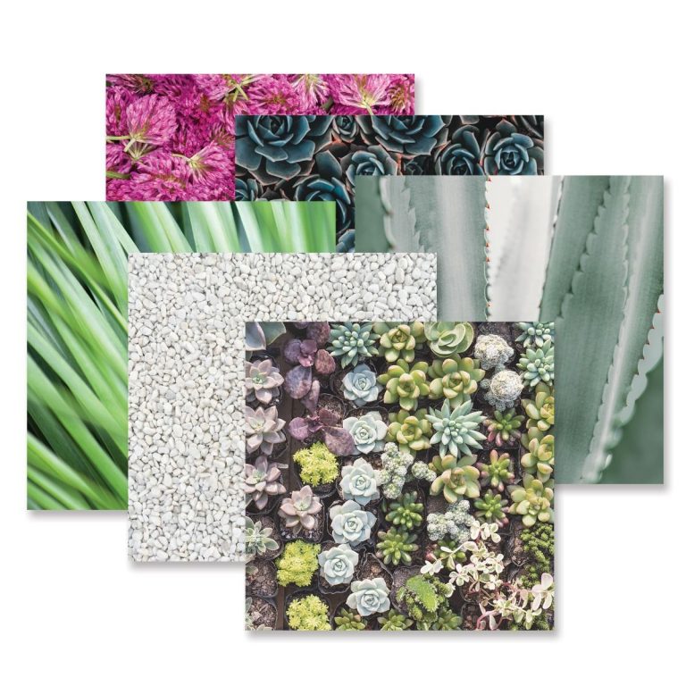 glowing-gardens-flower-paper-pack-creative-memories-657709-01