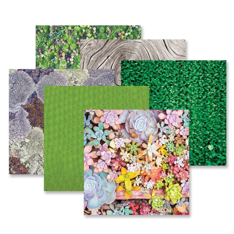 glowing-gardens-flower-paper-pack-creative-memories-657709-02