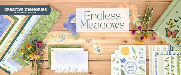 endless meadows