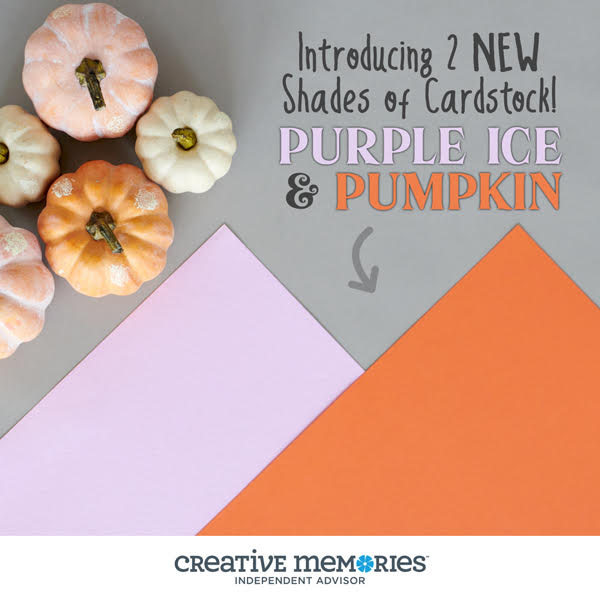 purple ice and pumpkin cardstock