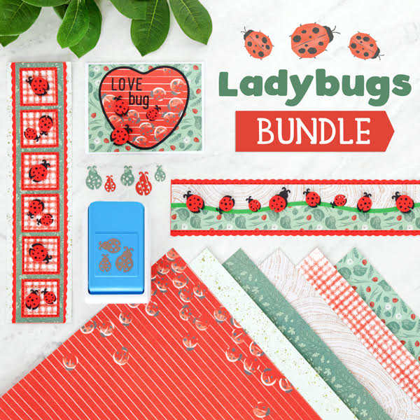 Ladybug Bundle