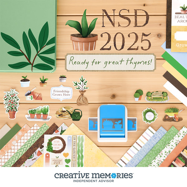 register for nsd