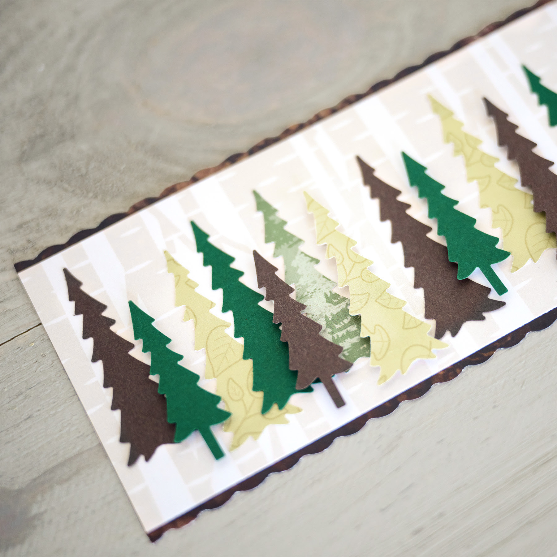 evergreen trees border punch