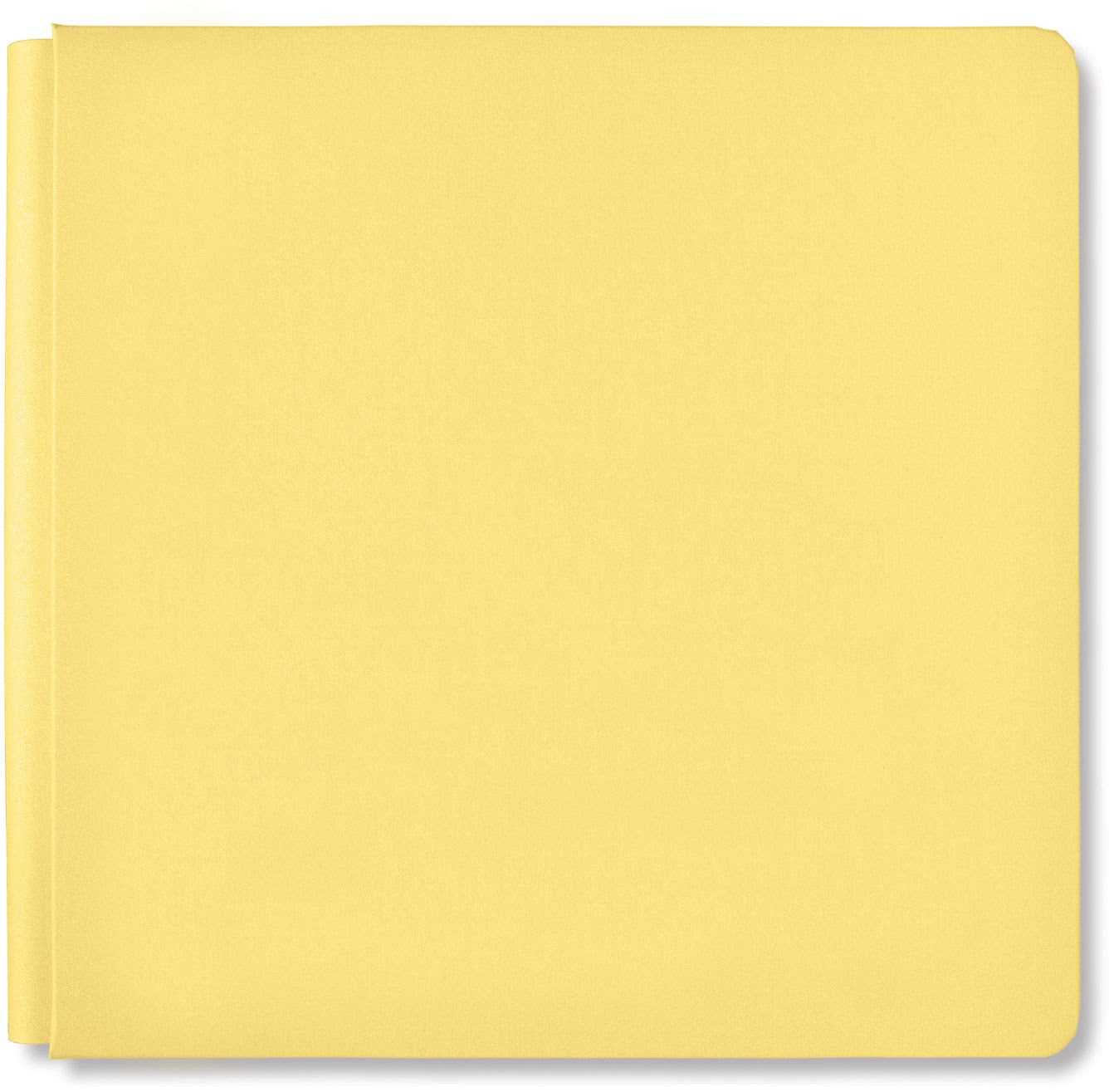 12x12 canary album cover
