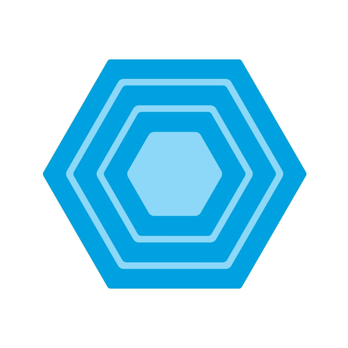 embossed hexagon punch applies toward tote